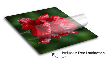 Adhesive Translucent Vinyl - $7.50 per sq ft - Blitz Sign & Displays