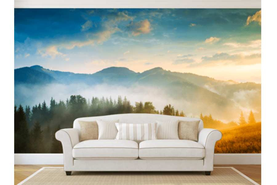 Wall Graphics - Blitz Sign & Displays